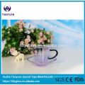 Borosilicate travel glass tea set cup with saucer